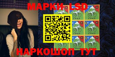 крисы Можга