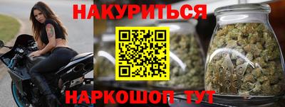 крисы Можга